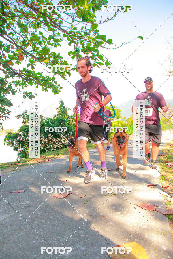 Buy your photos of the eventVelox Run on Fotop