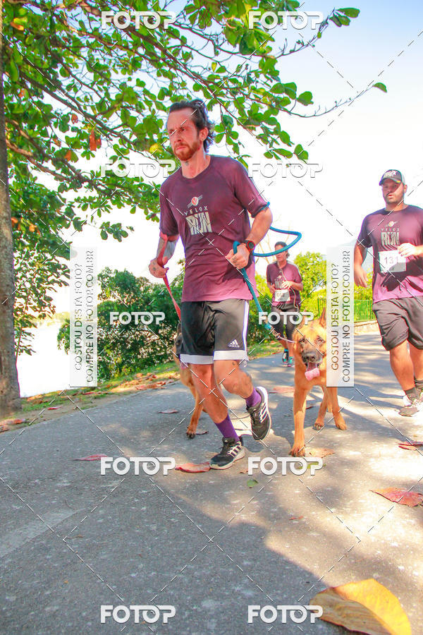 Buy your photos of the eventVelox Run on Fotop