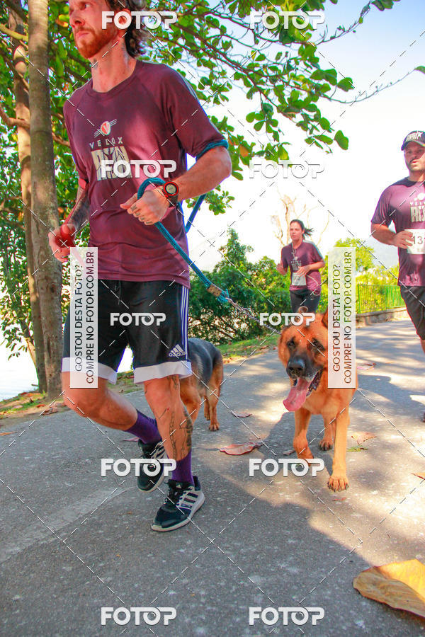 Buy your photos of the eventVelox Run on Fotop
