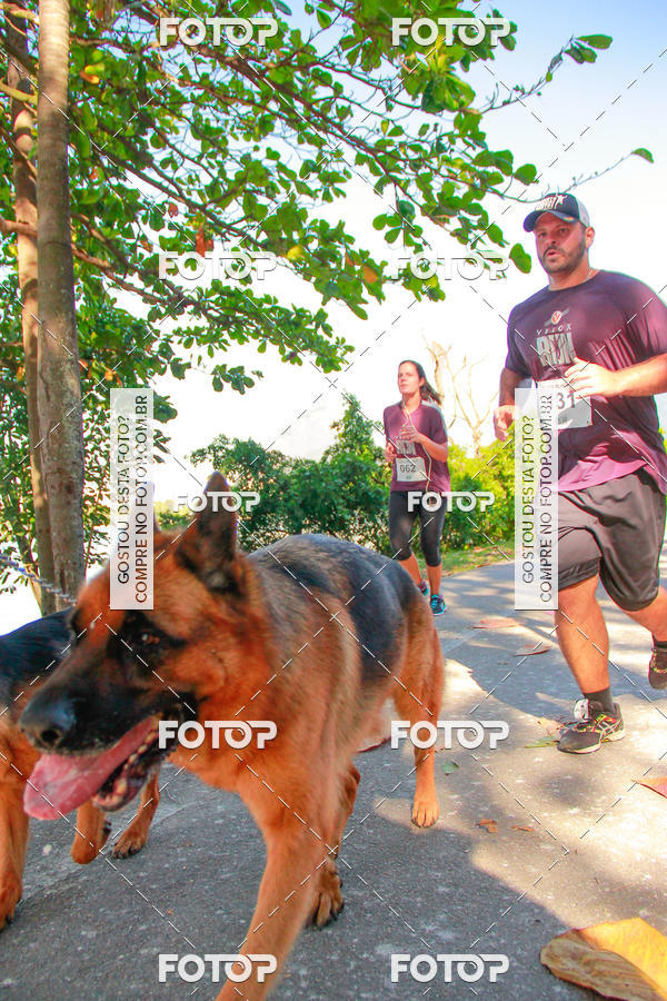 Buy your photos of the eventVelox Run on Fotop