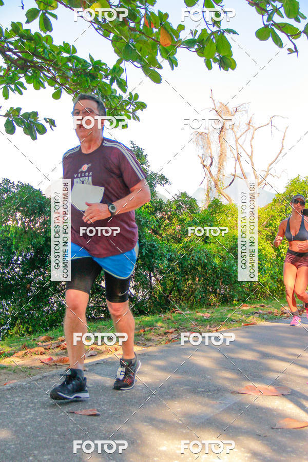 Buy your photos of the eventVelox Run on Fotop