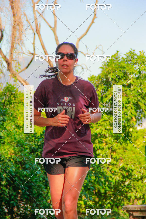 Buy your photos of the eventVelox Run on Fotop