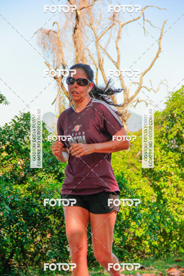 Buy your photos of the eventVelox Run on Fotop