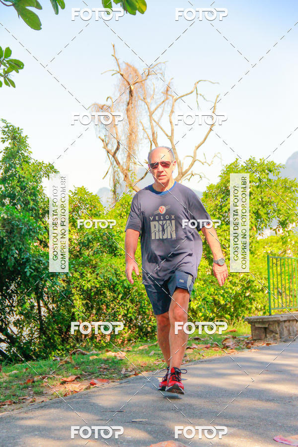 Buy your photos of the eventVelox Run on Fotop