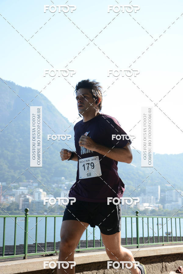 Buy your photos of the eventVelox Run on Fotop