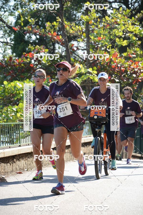 Buy your photos of the eventVelox Run on Fotop