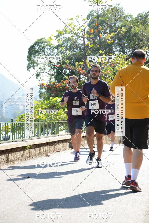 Buy your photos of the eventVelox Run on Fotop