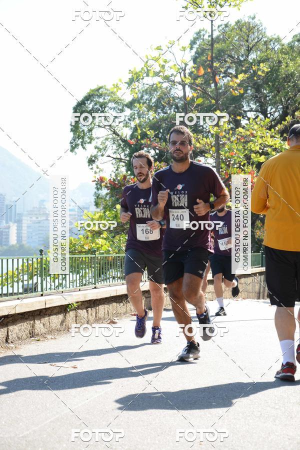 Buy your photos of the eventVelox Run on Fotop