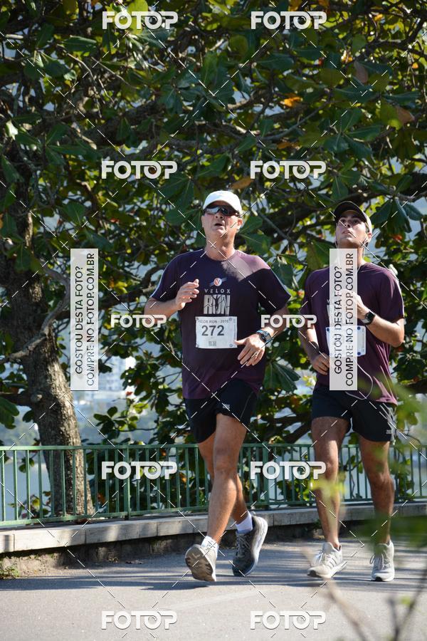 Buy your photos of the eventVelox Run on Fotop