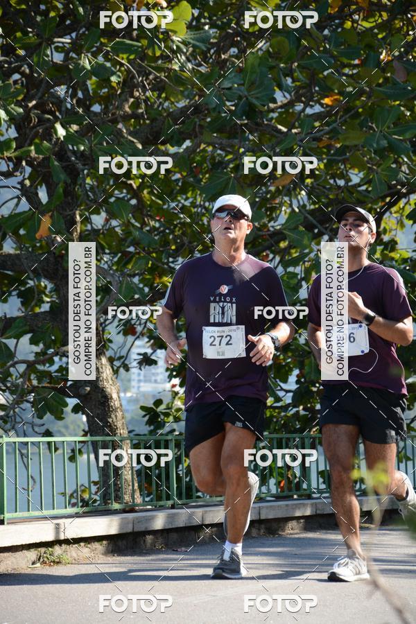Buy your photos of the eventVelox Run on Fotop