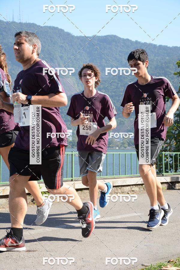 Buy your photos of the eventVelox Run on Fotop