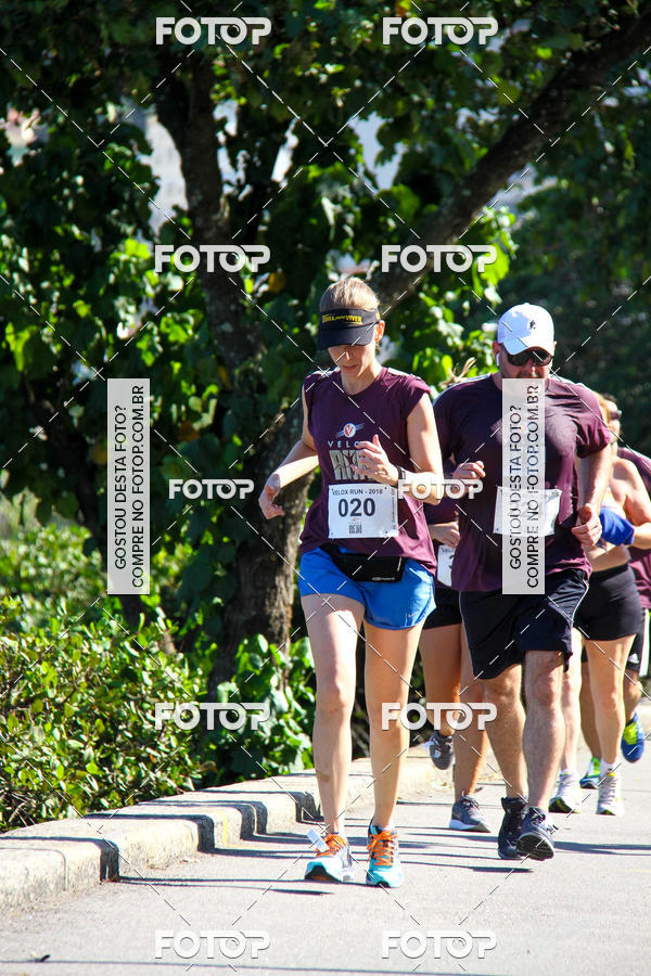 Buy your photos of the eventVelox Run on Fotop