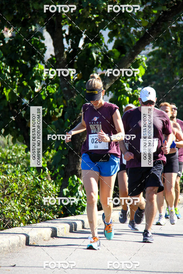 Buy your photos of the eventVelox Run on Fotop