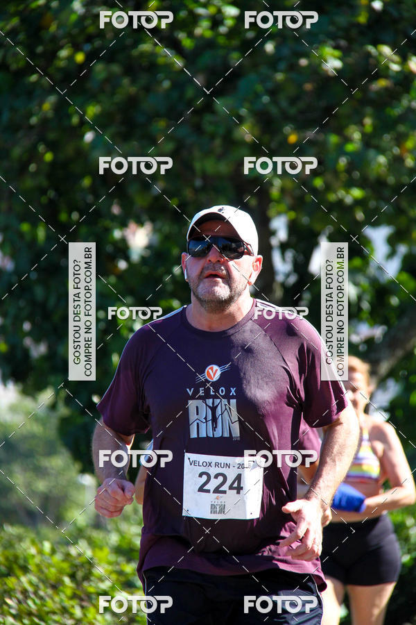 Buy your photos of the eventVelox Run on Fotop