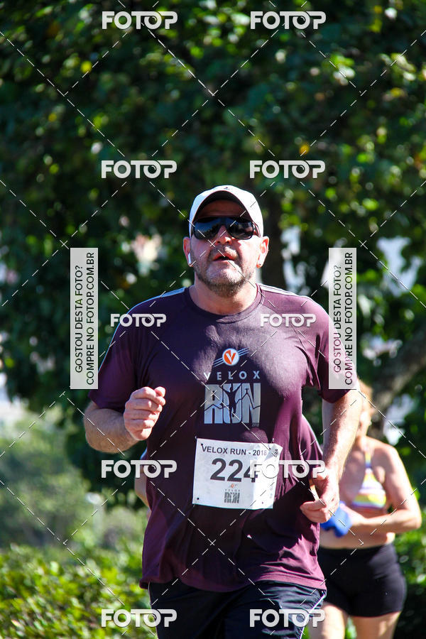 Buy your photos of the eventVelox Run on Fotop