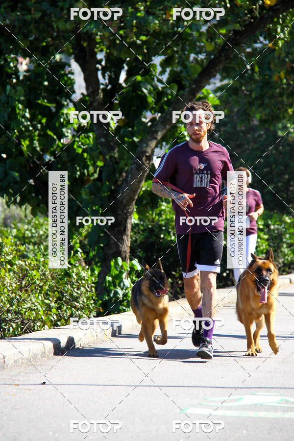 Buy your photos of the eventVelox Run on Fotop