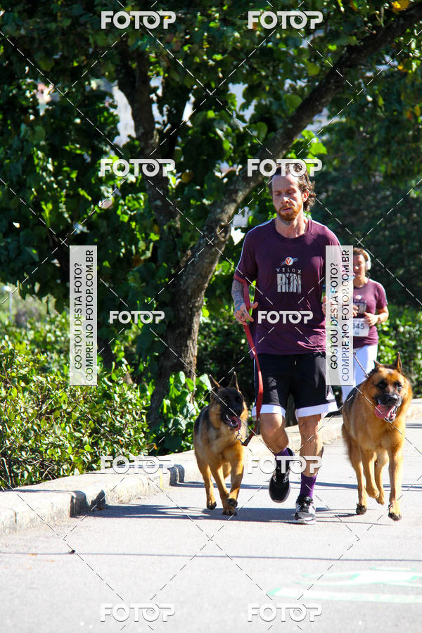 Buy your photos of the eventVelox Run on Fotop