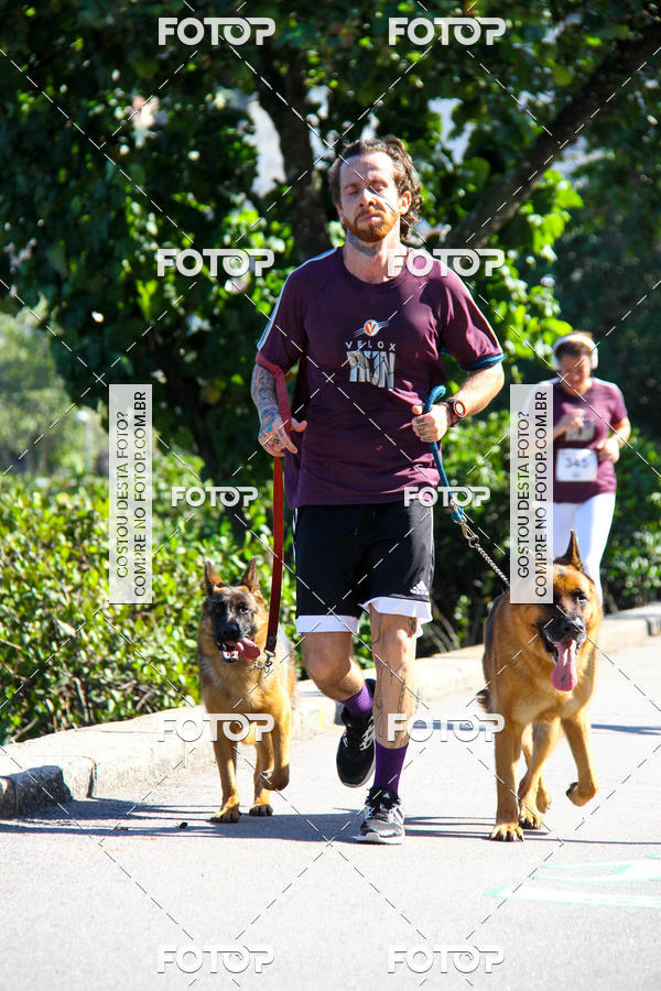 Buy your photos of the eventVelox Run on Fotop