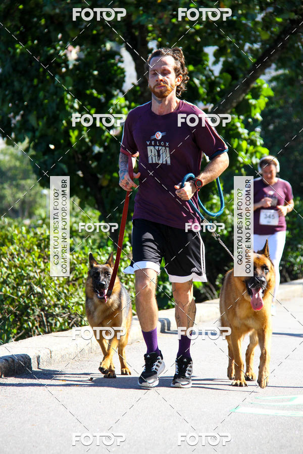 Buy your photos of the eventVelox Run on Fotop