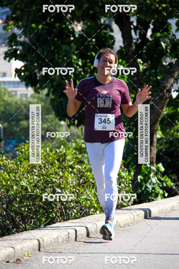 Buy your photos of the eventVelox Run on Fotop