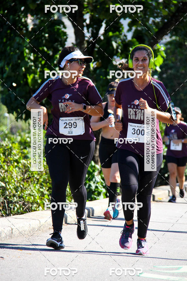 Buy your photos of the eventVelox Run on Fotop
