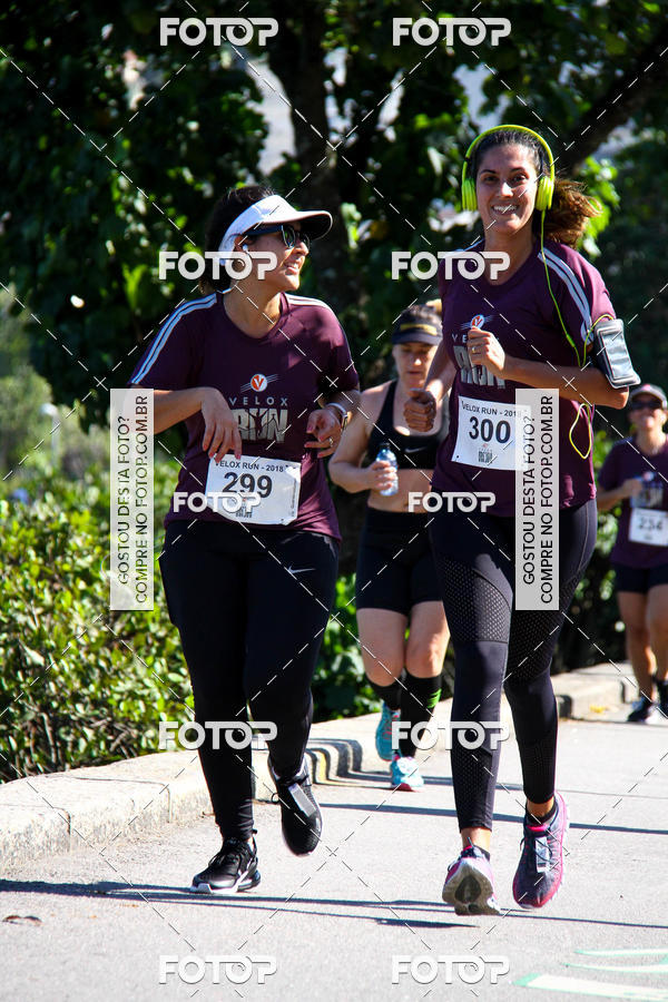 Buy your photos of the eventVelox Run on Fotop