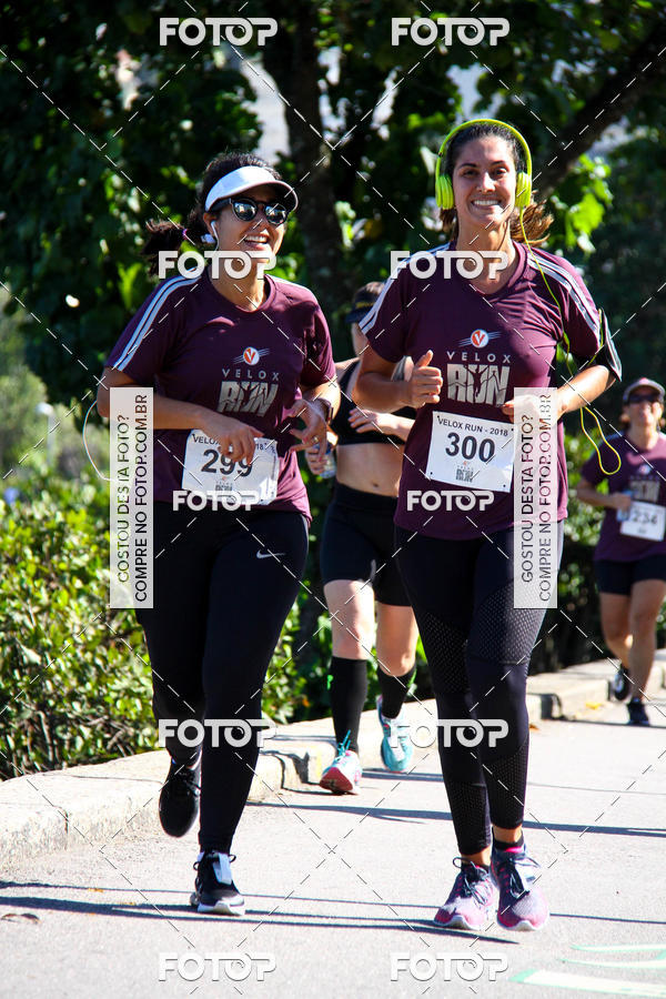 Buy your photos of the eventVelox Run on Fotop