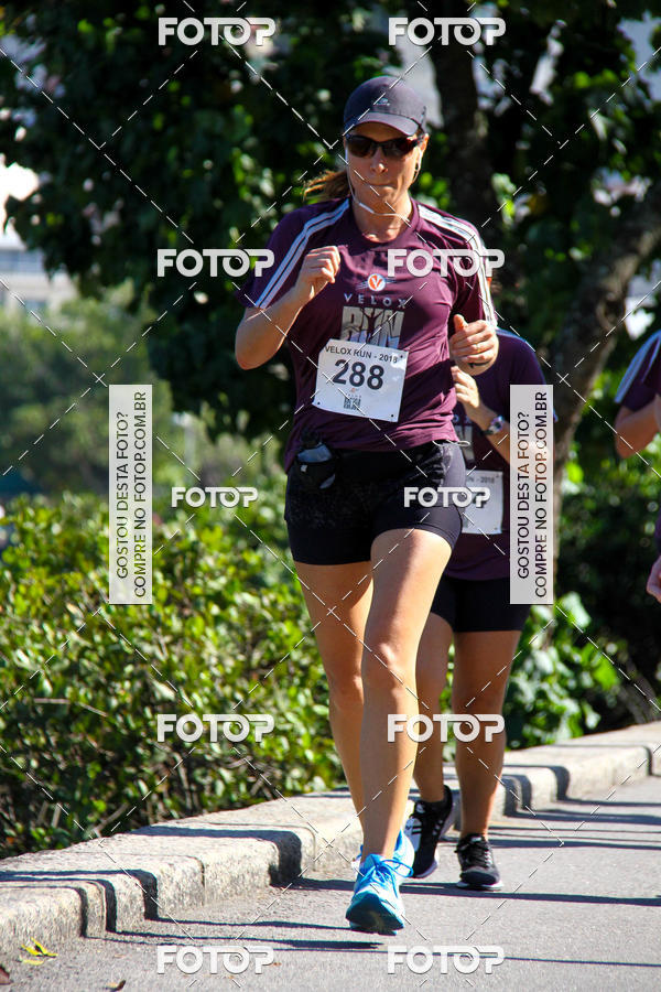 Buy your photos of the eventVelox Run on Fotop