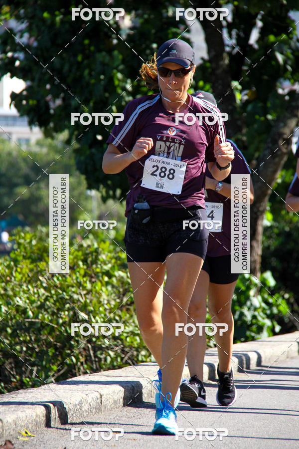 Buy your photos of the eventVelox Run on Fotop