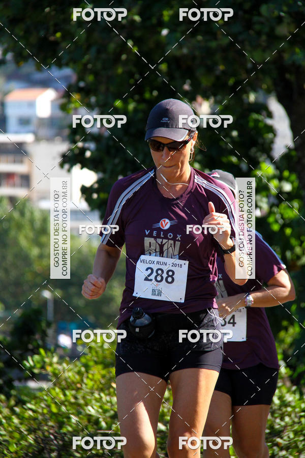 Buy your photos of the eventVelox Run on Fotop