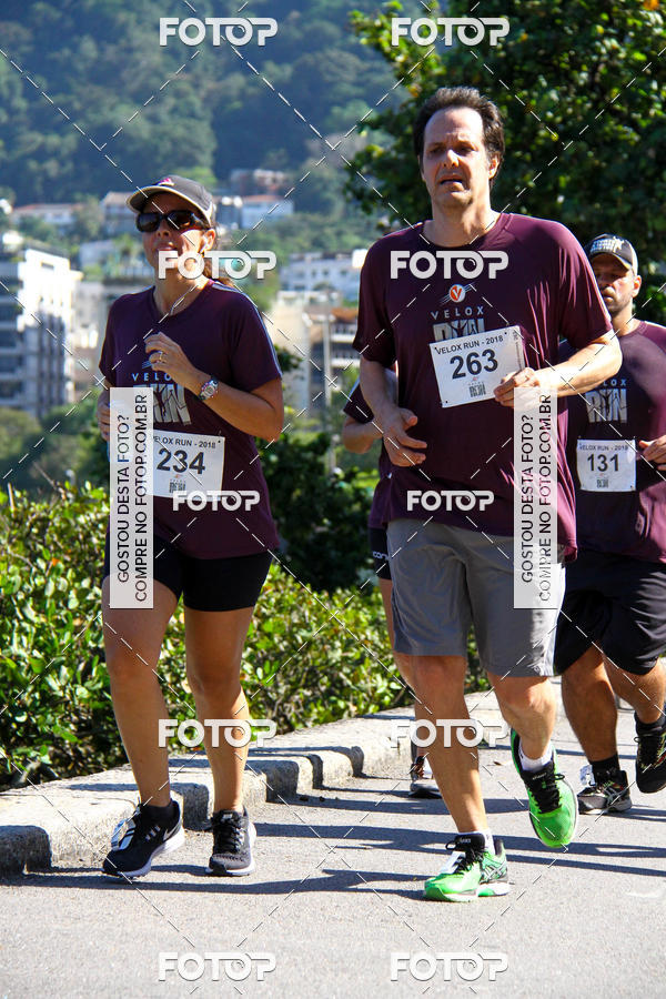 Buy your photos of the eventVelox Run on Fotop
