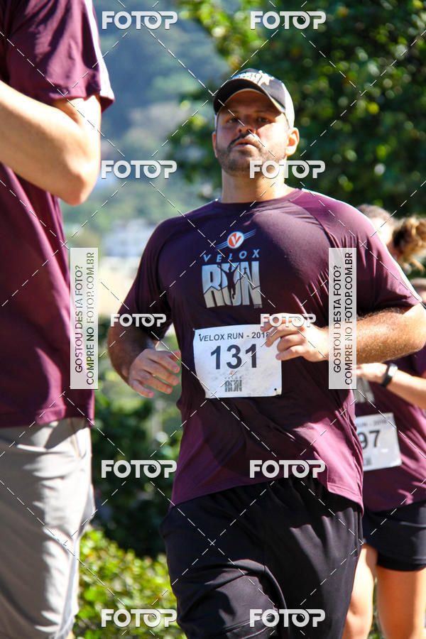 Buy your photos of the eventVelox Run on Fotop