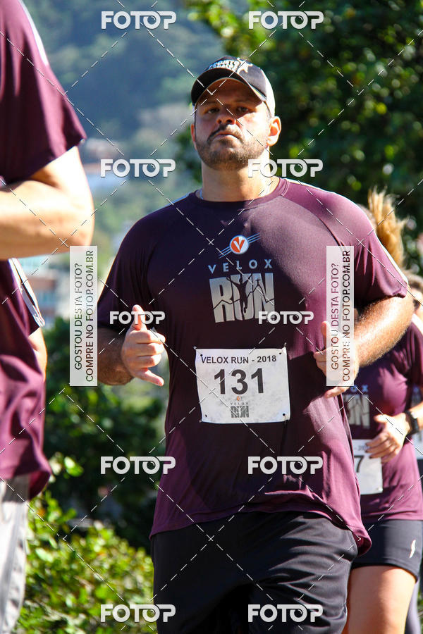 Buy your photos of the eventVelox Run on Fotop