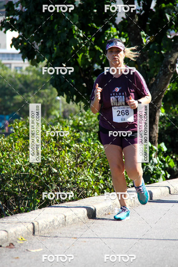 Buy your photos of the eventVelox Run on Fotop