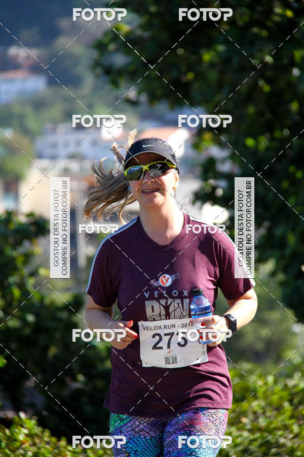 Buy your photos of the eventVelox Run on Fotop