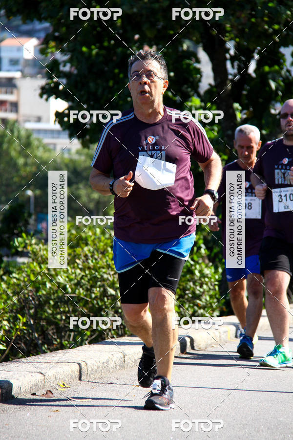 Buy your photos of the eventVelox Run on Fotop