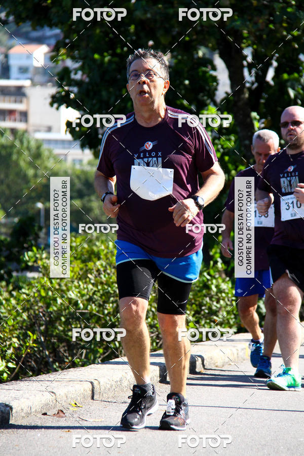 Buy your photos of the eventVelox Run on Fotop