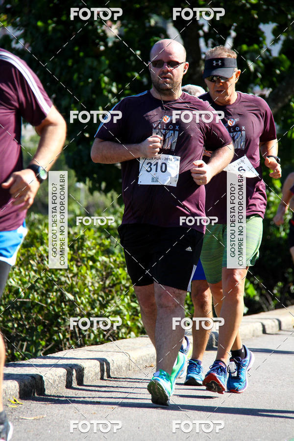 Buy your photos of the eventVelox Run on Fotop