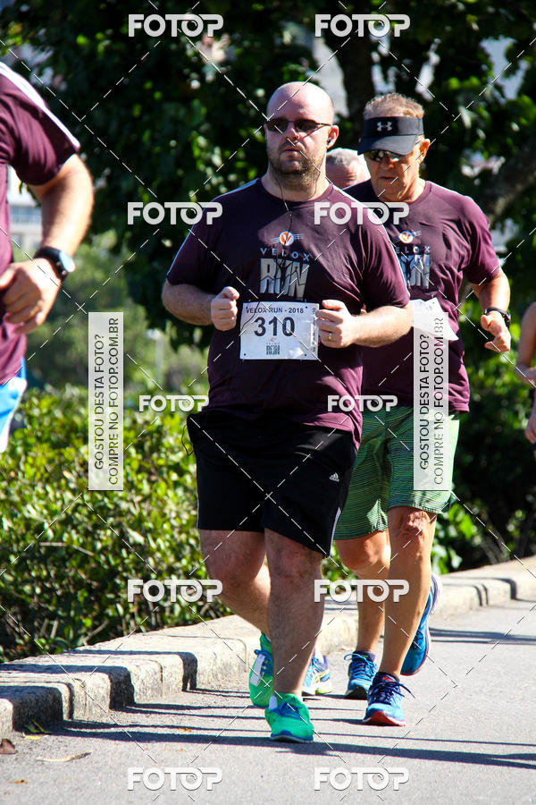 Buy your photos of the eventVelox Run on Fotop