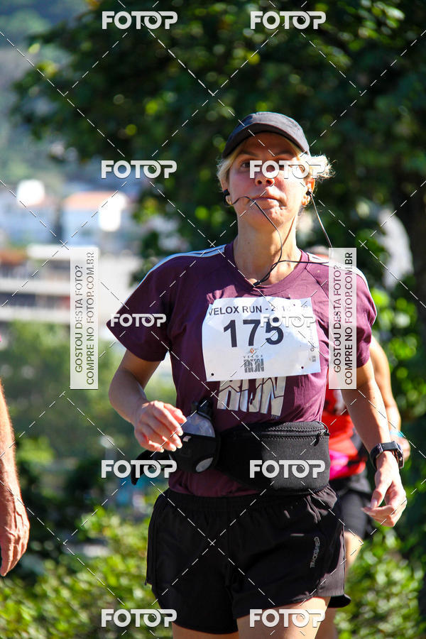 Buy your photos of the eventVelox Run on Fotop