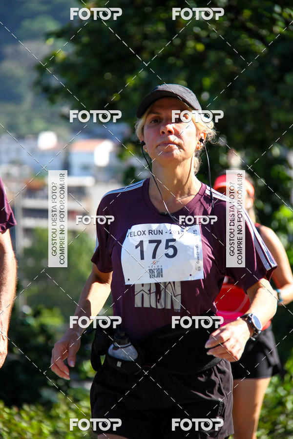 Buy your photos of the eventVelox Run on Fotop