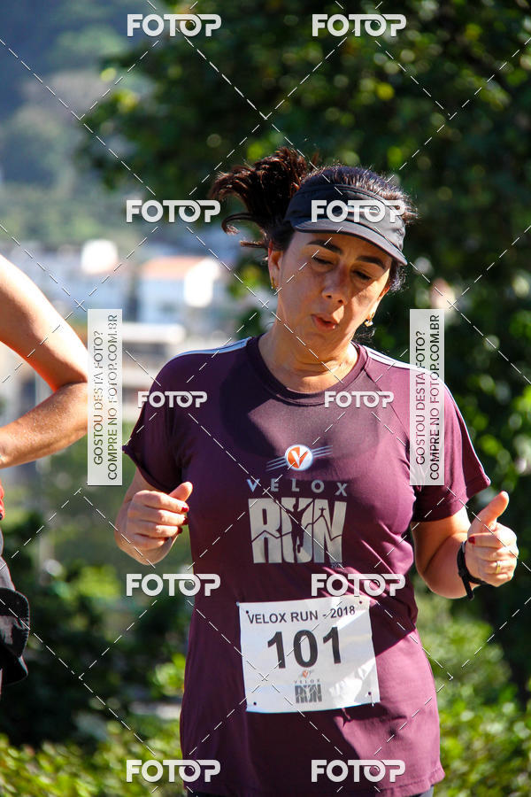 Buy your photos of the eventVelox Run on Fotop