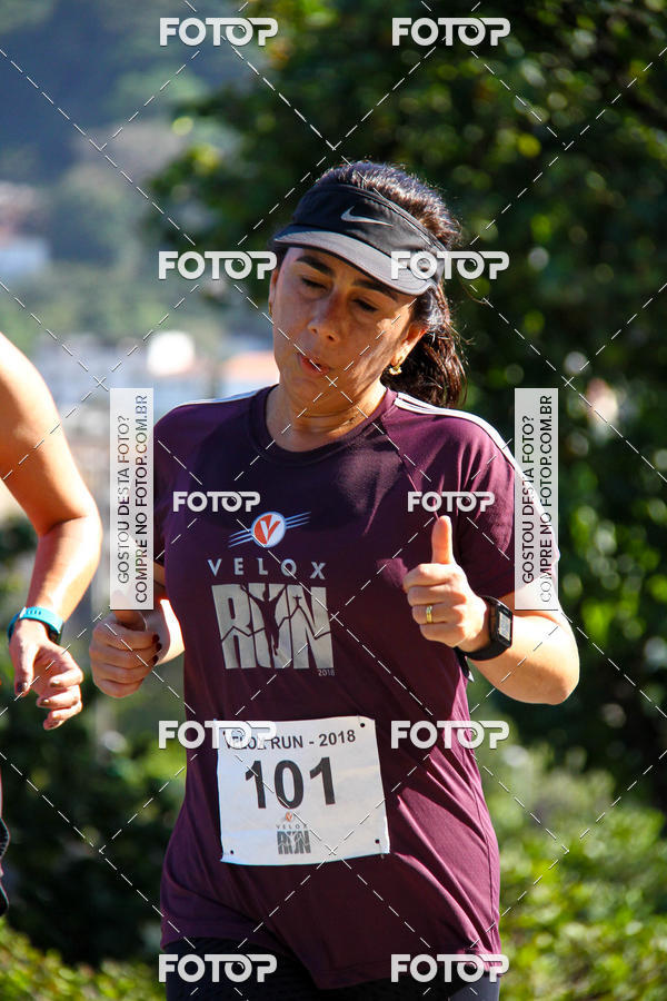 Buy your photos of the eventVelox Run on Fotop