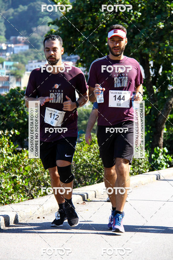 Buy your photos of the eventVelox Run on Fotop