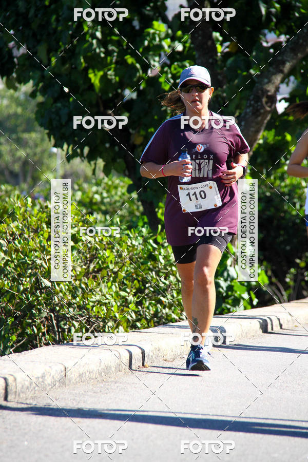 Buy your photos of the eventVelox Run on Fotop