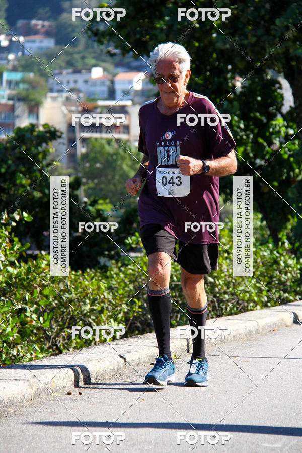 Buy your photos of the eventVelox Run on Fotop