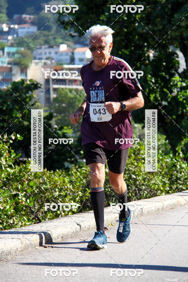 Buy your photos of the eventVelox Run on Fotop
