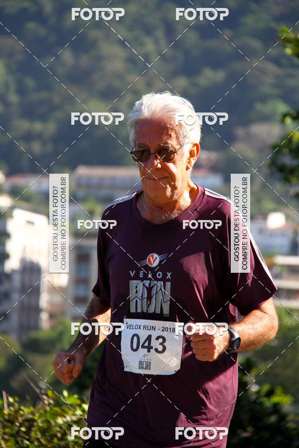 Buy your photos of the eventVelox Run on Fotop