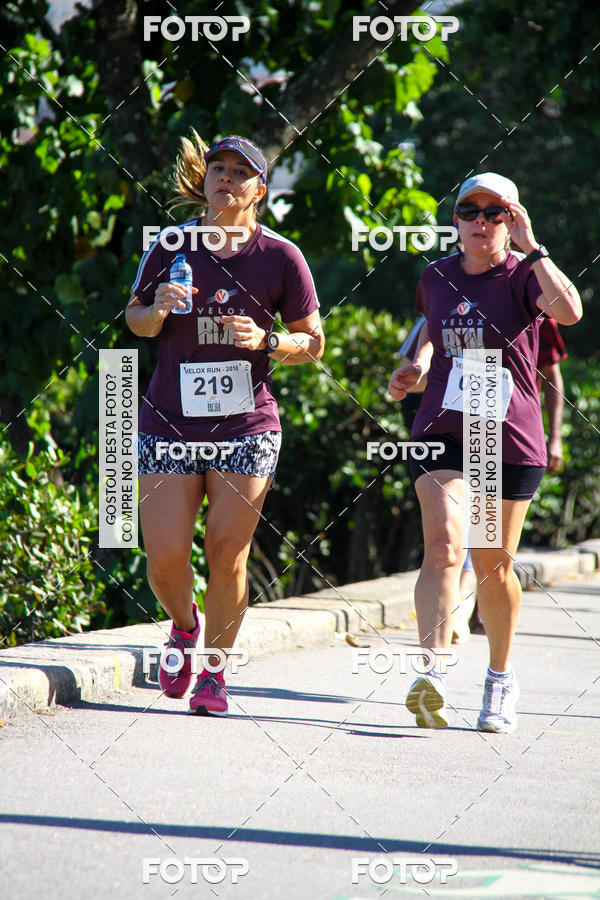 Buy your photos of the eventVelox Run on Fotop