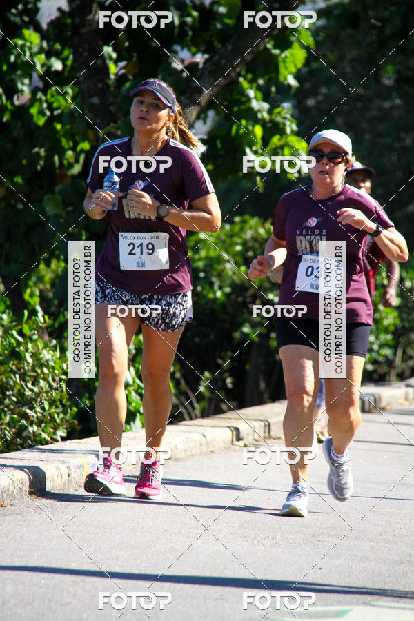 Buy your photos of the eventVelox Run on Fotop